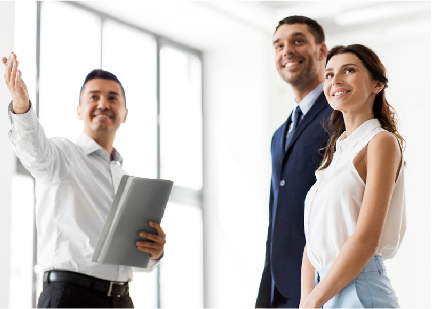 Fresh dates on palm tree